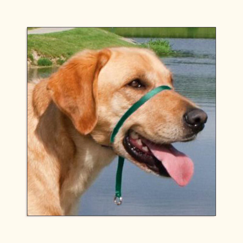 Holt head clearance collar